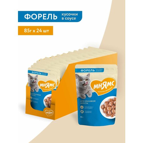 Мнямс влажный корм для кошек с кусочками форели в соусе, 85 г × 24 шт.
