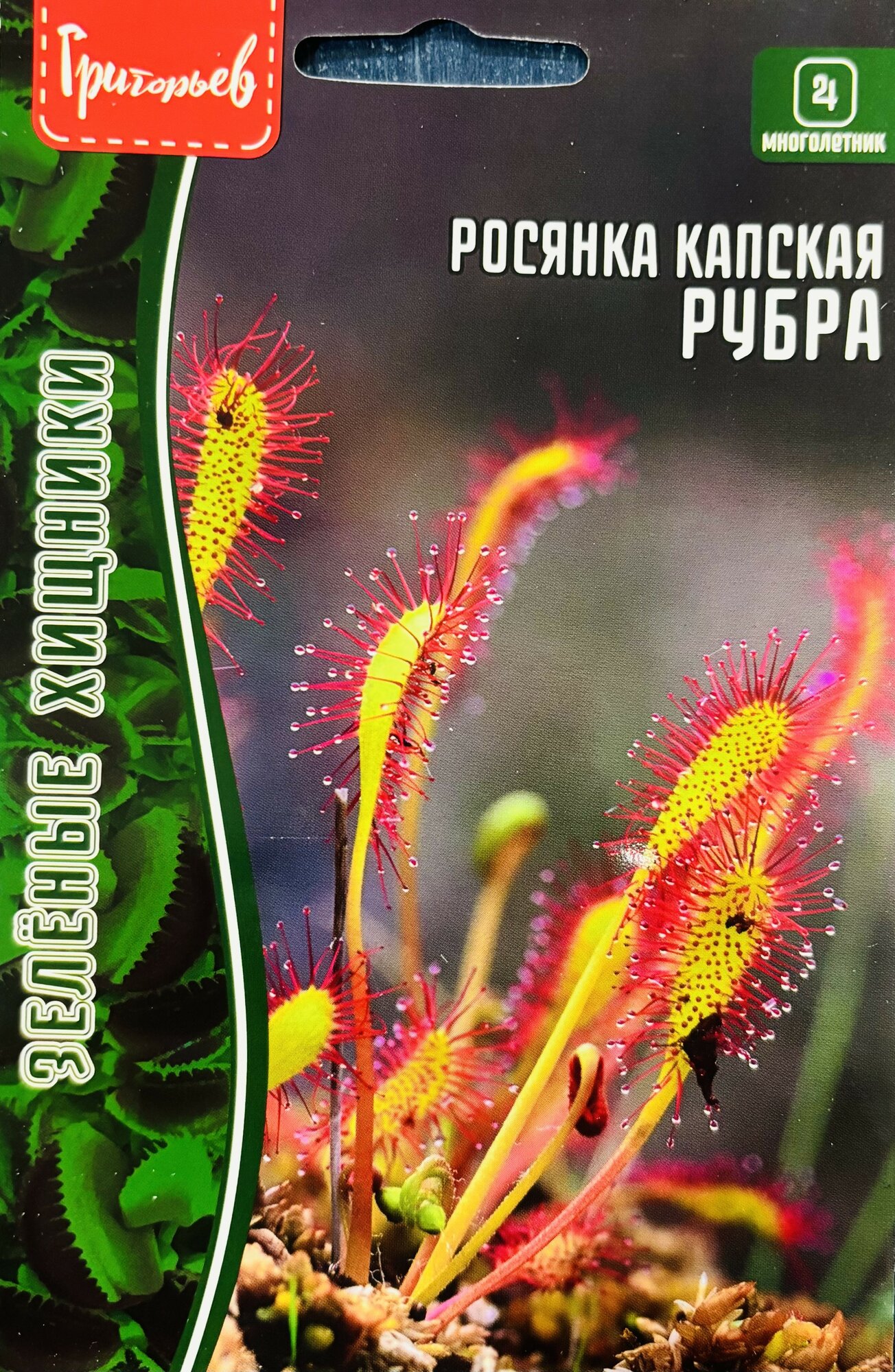 Семена Росянки Капской 