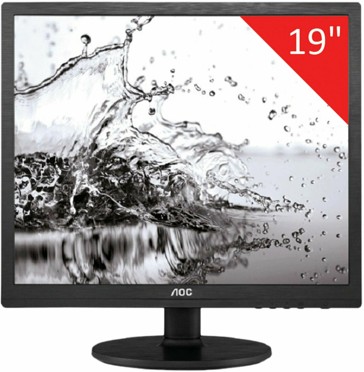 Монитор AOC Professional I960SRDA 19
