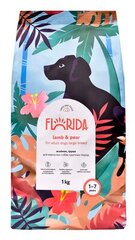 FLORIDA Сухой корм для взрослых собак крупных пород с Ягненком и Грушей