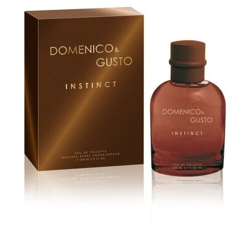 Туалетная вода мужская Domenico&Gusto Instinct, 100 мл