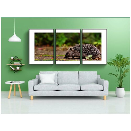 фото Набор модулных постеров для интерьера "ежик, молодой ежик, животное" 60x90 см. в тубусе, без рамки lotsprints