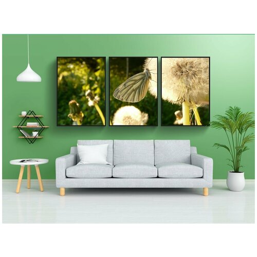 фото Набор модулных постеров для интерьера "рапс белая бабочка, белый, бабочка" 60x90 см. в тубусе, без рамки lotsprints