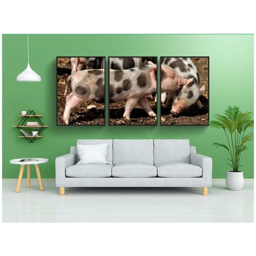 фото Набор модулных постеров для интерьера "свинья, маленькие свиньи, мини" 60x90 см. в тубусе, без рамки lotsprints