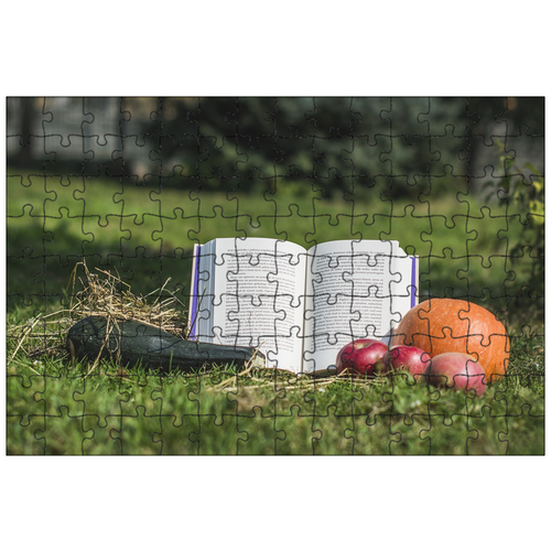 фото Магнитный пазл 27x18см."книга, фрукты, овощи" на холодильник lotsprints