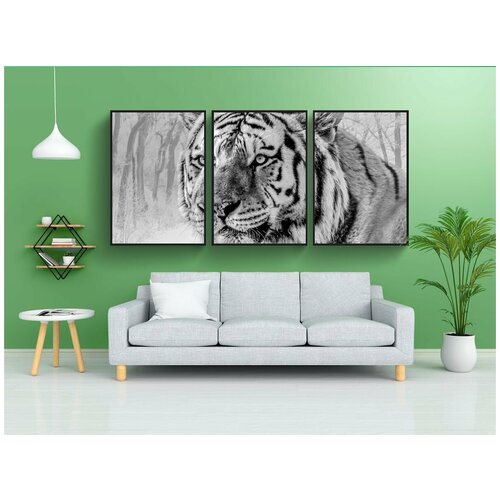 фото Набор модулных постеров для интерьера "дикая природа, тигр, сибирский тигр" 60x90 см. в тубусе, без рамки lotsprints