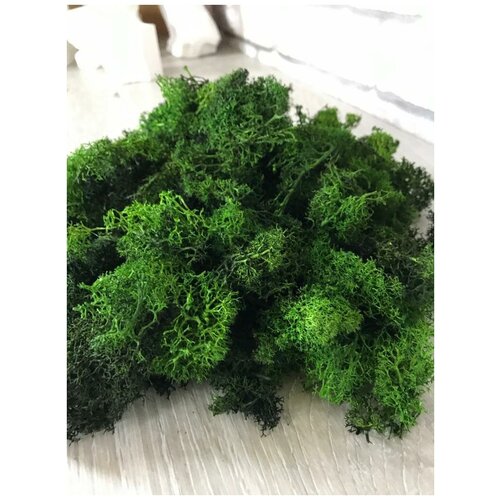 Стабилизированный мох 2 сорт (обрезки) 1 кг смесь зеленых оттенков/мох для декора, дизайна, озеленения/лесной, природный мох для хобби и творчества
