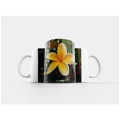 фото Кружка "цветок, frangipani, природа" 320 мл lotsprints