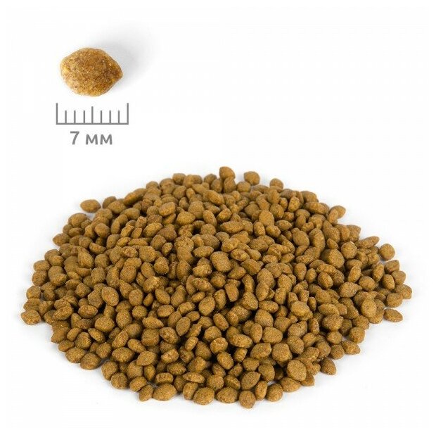 DELICANA сухой корм для котят с чувствительным пищеварением, индейка 1,5кг. - фотография № 2