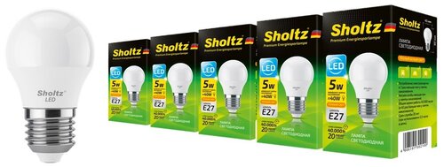 Комплект из 5 светодиодных энергосберегающих ламп Sholtz шар G45 5Вт E27 3000К 220В пластик (Шольц) LEB3021P