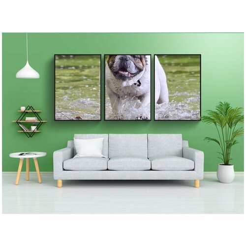 фото Набор модулных постеров для интерьера "бульдог, собака, семья" 60x90 см. в тубусе, без рамки lotsprints