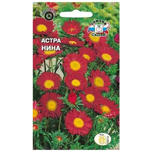 Семена Астра Нина Однолетние 0,2 гр.