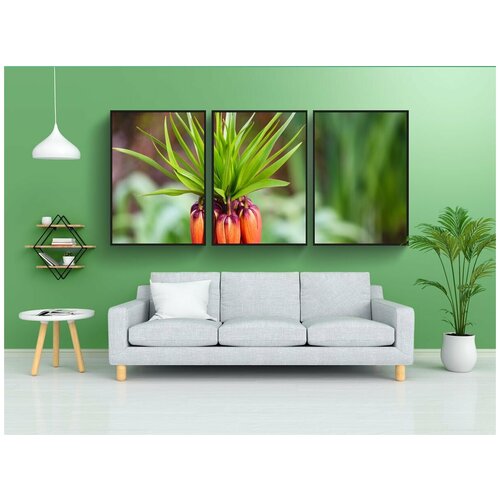 фото Набор модулных постеров для интерьера "корона императорская, цветок, завод" 60x90 см. в тубусе, без рамки lotsprints