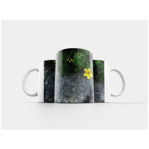 фото Кружка "цветы, желтый, весна" 320 мл lotsprints