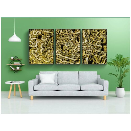 фото Набор модулных постеров для интерьера "коралл, море, структура" 60x90 см. в тубусе, без рамки lotsprints