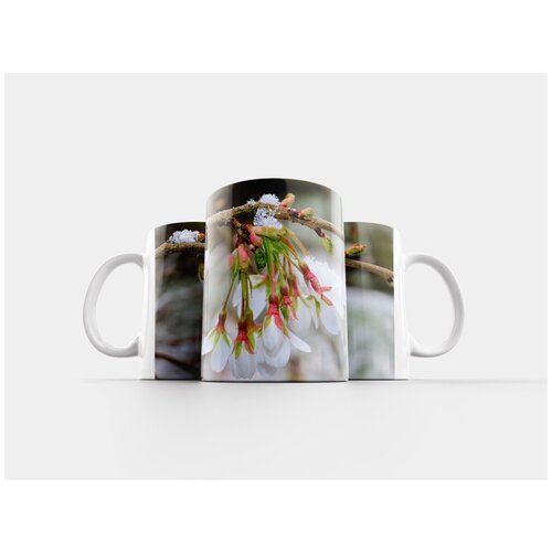 фото Кружка "вишня в цвету, японская вишня, цвести" 320 мл lotsprints