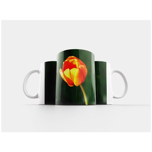 фото Кружка "тюльпан, цветок, цвести" 320 мл lotsprints