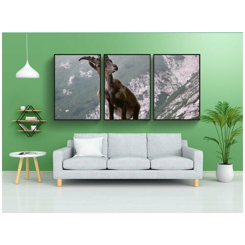 фото Набор модулных постеров для интерьера "козерог, животное, альпийский" 60x90 см. в тубусе, без рамки lotsprints