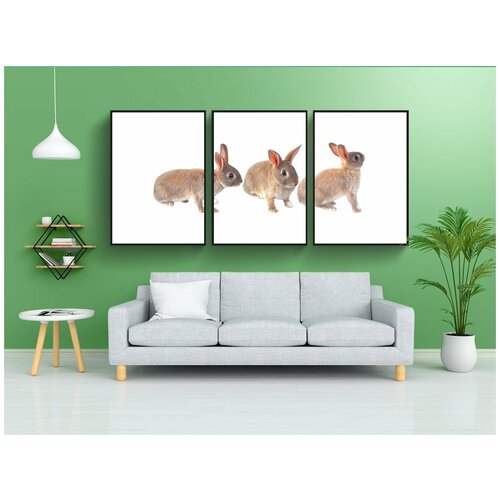 фото Набор модулных постеров для интерьера "заяц, кролик, уши" 60x90 см. в тубусе, без рамки lotsprints