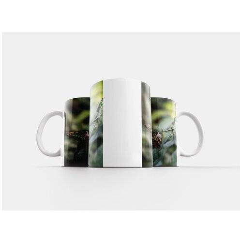 фото Кружка "бабочка, стойка для сойки, графий агамемнон" 320 мл lotsprints