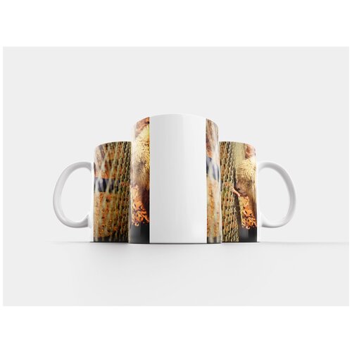 фото Кружка "природа, дерево, на открытом воздухе" 320 мл lotsprints