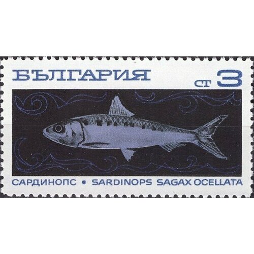 (1969-101) Марка Болгария Сардина Океанское рыболовство II O 1969 036 марка болгария ёжик и белка неделя детской книги ii o