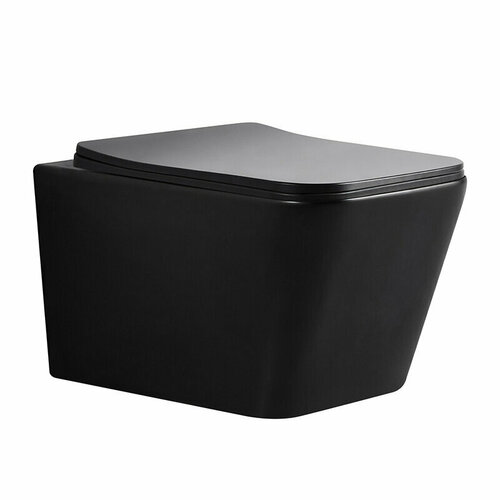 Унитаз подвесной Bond безободковый, крышка микролифт, черный матовый, F04-108