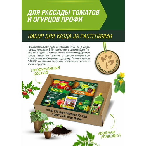 Набор для выращивания рассады Томаты и Огурцы Профи Фаско