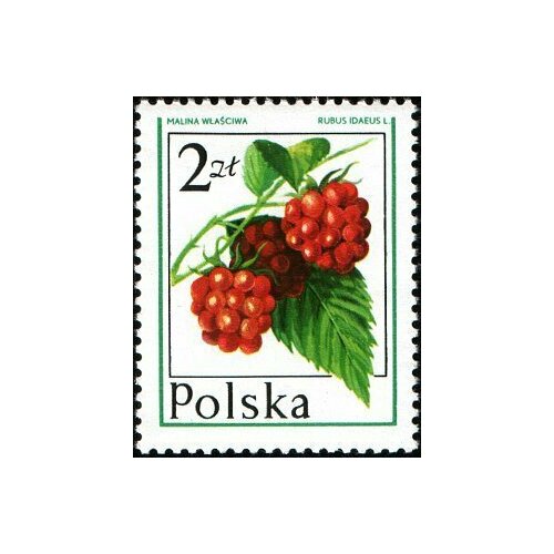 (1977-009) Сцепка марок (3 м) Польша Малина Лесные ягоды I Θ