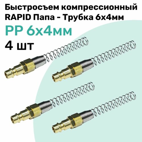   PP RAPID  -    64,    NBPT,  4