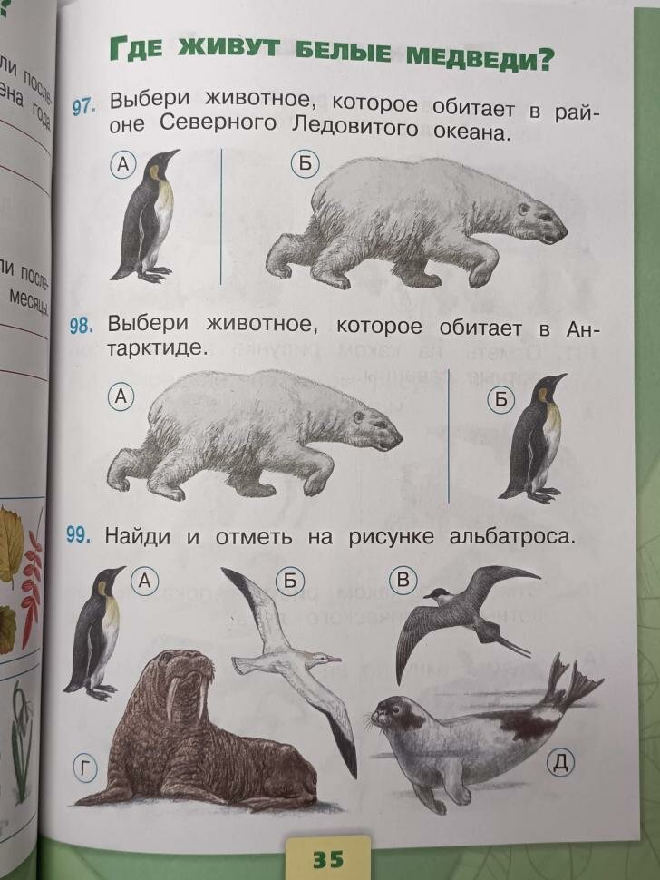 Окружающий мир. 1 класс. Тесты - фото №12