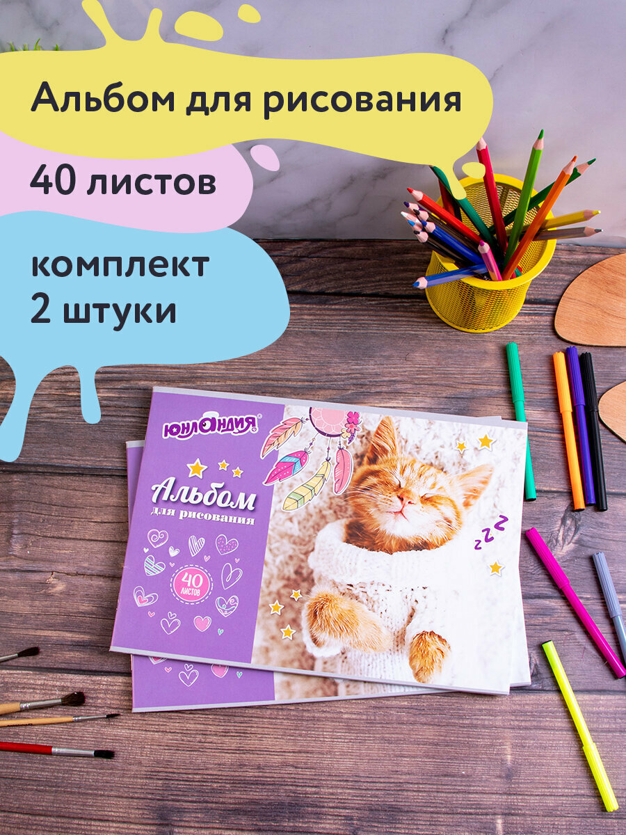 Альбом для рисования для детей в школу / детский сад А4 40 листов 2 штуки скоба обложка картон Юнландия 202х285 мм Кот в свитере 880042