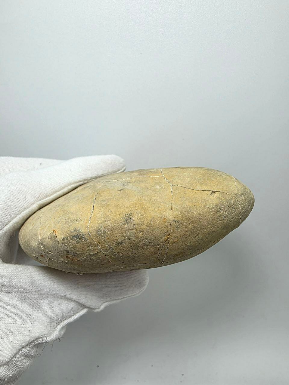 Септария 111 мм, 587 г. — фото 1