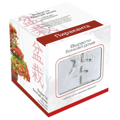 Подарочный набор для выращивания 
