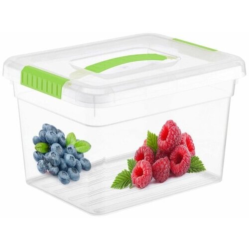 Ящик для хранения Deco 5л с ручкой Ягоды FB3035-14