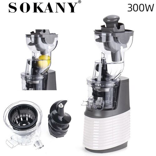 Шнековая мощная соковыжималка JE-32доля сока до 90прямой отжим300 Втзащита от перегревабелый 1419000₽