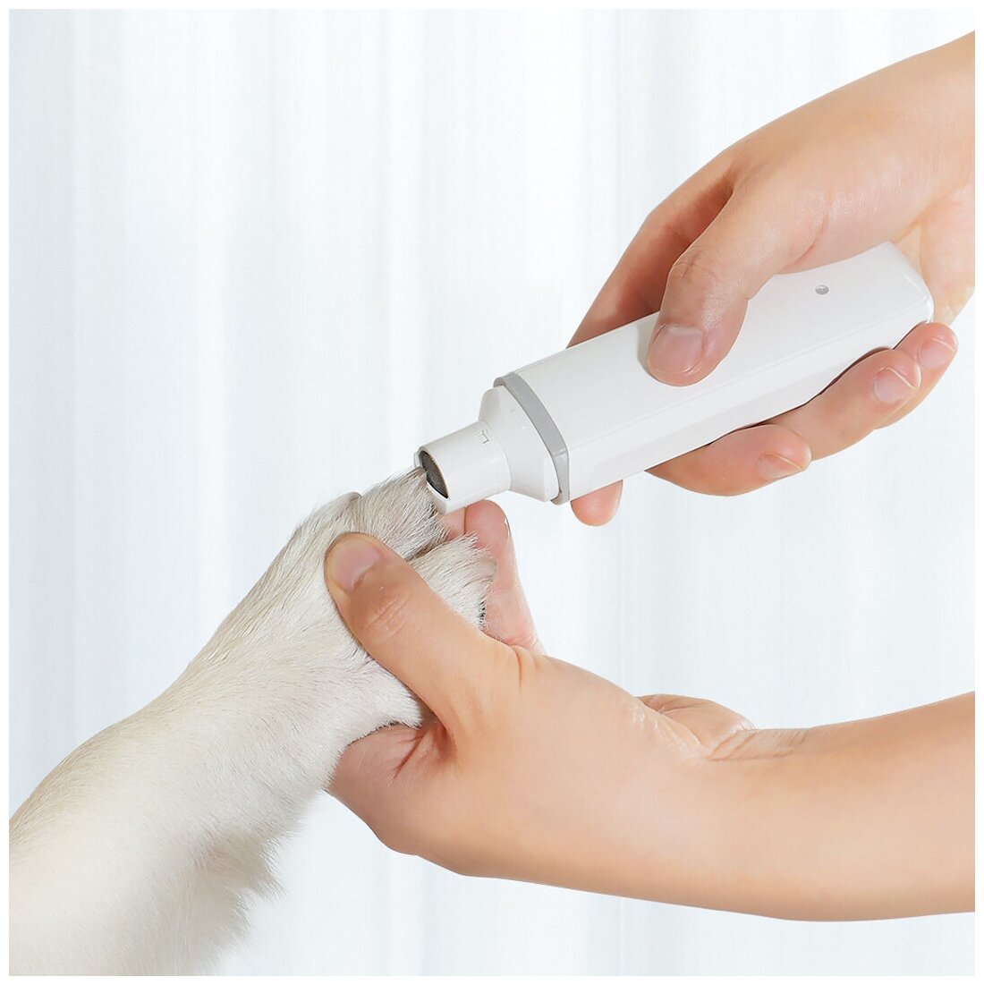 Триммер для когтей домашних животных Xiaomi Pawbby Pet Electric Nail Sharpener (MG-NG001) - фотография № 4