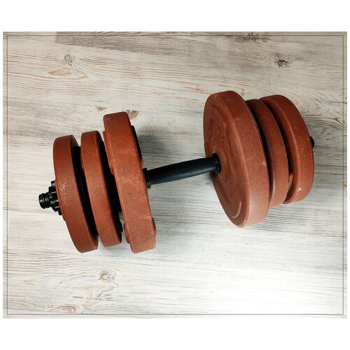 Гантель ShiGir 10,5кг (SGP-10,5)