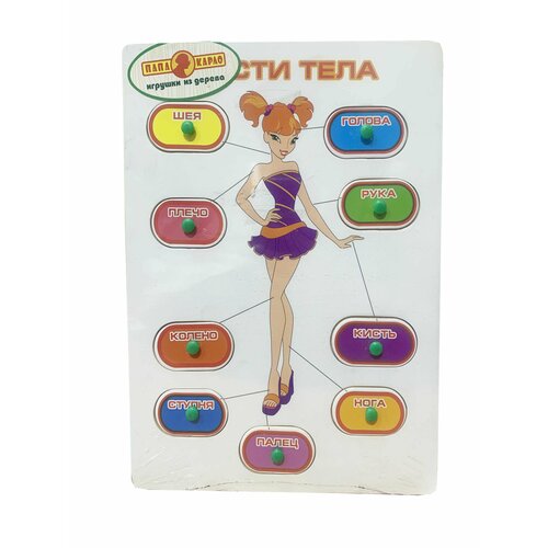 Игрушка деревянная - Части тела Папа Карло 7553R игрушка на руку тайга папа карло