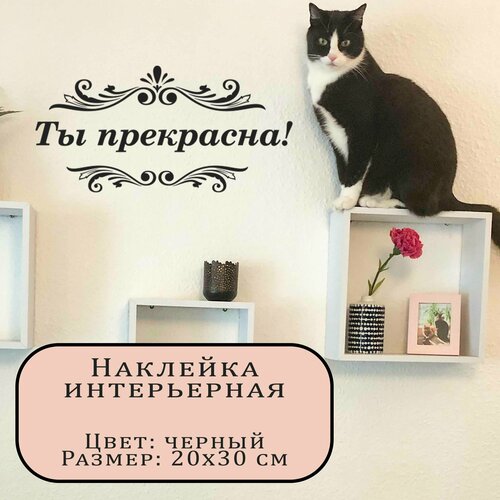 Наклейка интерьерная, Ты прекрасна, черная, 20х30см