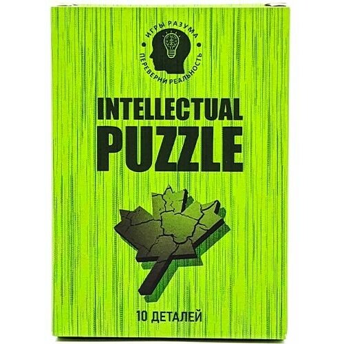 Пазл Головоломка IQ Intellectual Puzzle 