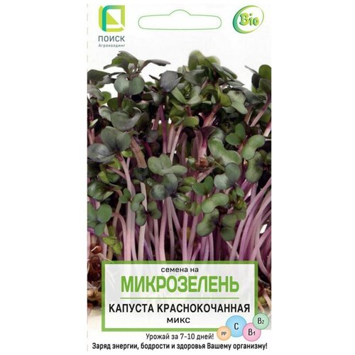 Семена на Микрозелень Капуста краснокочанная, Микс, 5 г (комплект из 26 шт) семена на микрозелень капуста краснокочанная микс 5 г 3 упаковки