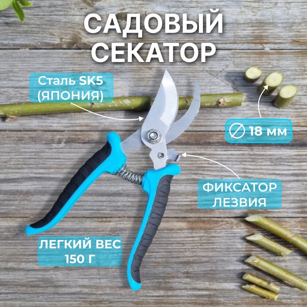 Secateurs_1