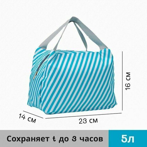 Термосумка на молнии 5 л, цвет голубой термосумка на молнии 5 л цвет голубой