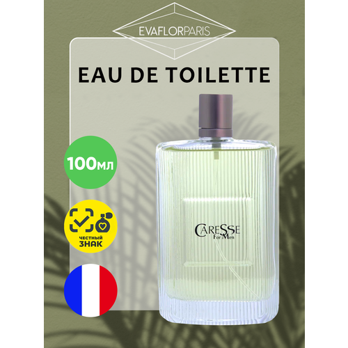 Parfums Evaflor Мужской Caresse Туалетная вода (edt) 100мл