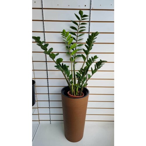 Кашпо пластиковое с системой автополива. Размер 30х30хН57 см.