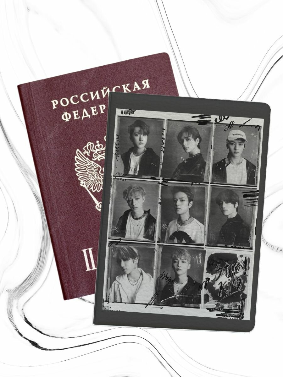 Обложка для паспорта pass-148 