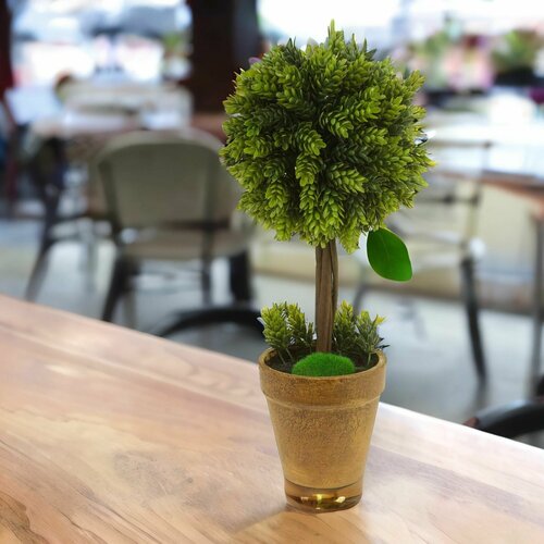 Самшит искусственный в кашпо, H43 см