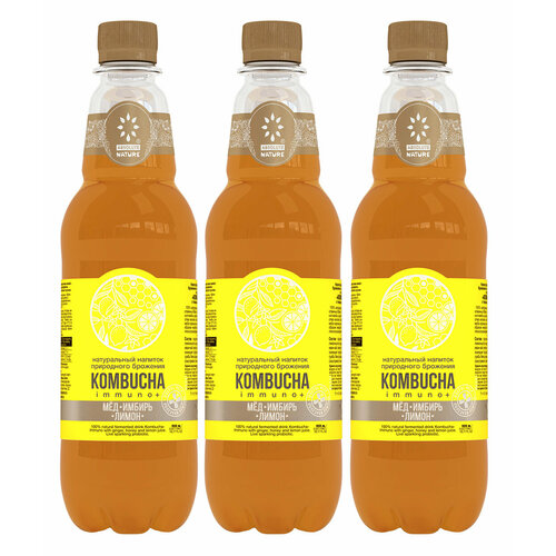 Комбуча чайный гриб Absolute Nature "Kombucha-Immyno+" без сахара мед, имбирь, лимон, 0.555 л, 3 бутылки