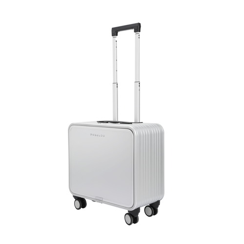 Кейс-пилот PASELDO, 37 л, размер S, серый металлик